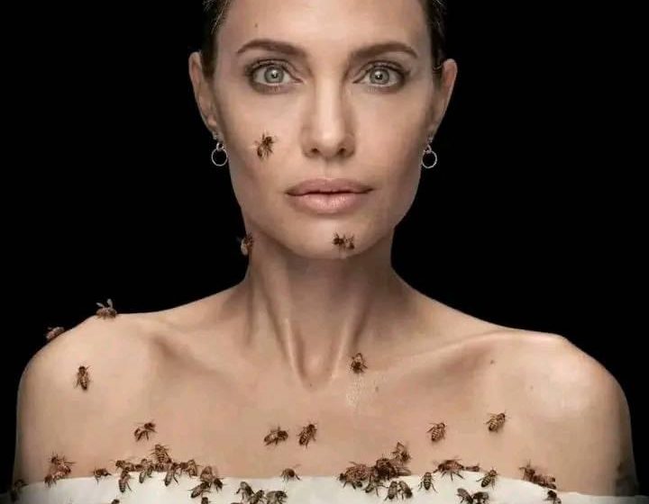  Angelina Jolie a posé pendant 18 minutes avec des abeilles sur tout son corps.